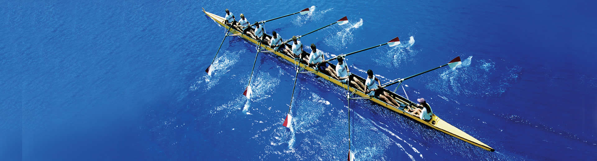 資質(zhì)榮譽(yù)